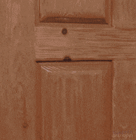 rachel bloom i dont care GIF