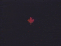 maple leaf canada GIF by Ottawa International Animation Festival