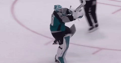 kaisever giphycreatortest sharks san jose sharks askarov GIF