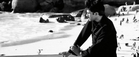 Pawan Kalyan Telugu GIF by Sharat overseas distribution