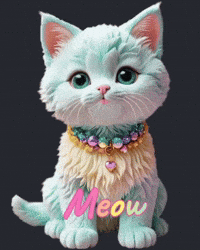 Cat Love GIF