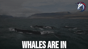 Bitcoin Trading GIF by 1inch