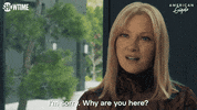 GIF by SHOWTIME