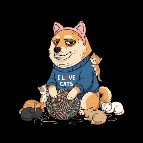 Shiba Inu Cats GIF by Doge Pound