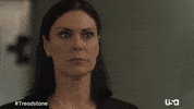 Usa Network Television GIF by Treadstone