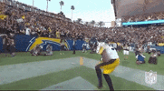 Regular Season Football GIF by NFL