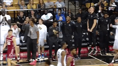 mbb GIF by UCF Knights