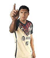Soccer Goal Sticker by Club America