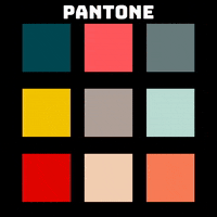 Art Design GIF by Sweet Charee Gallery