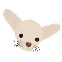 Dog Chihuahua Sticker by Alexiane Bijoux