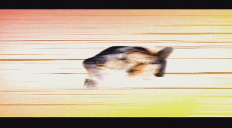 Jesus Christ GIF by Edochan