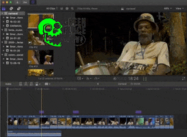 Carnaval Blumenau GIF by Greenplace TV