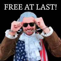 Im Free Prison Break GIF