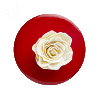fabesovaiveta lemon czech lime pastry Sticker