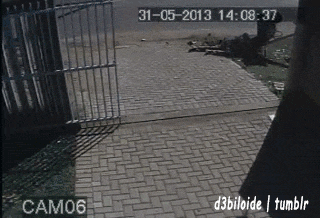 likedhu giphyupload fail GIF