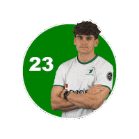 Sport Heerlen Sticker by Groene ster