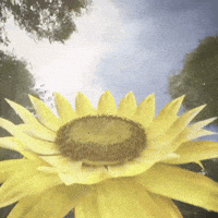 Good Morning Munich GIF by WE ARE VIDEO