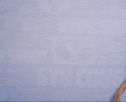 Gymnastics Hailey GIF by BYU Cougars