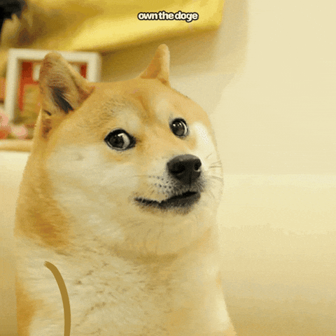 Thug Life Doge GIF