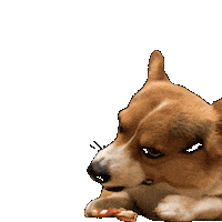 Corgi Milo Sticker
