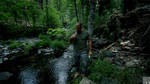 top gear bigfoot GIF by BBC America