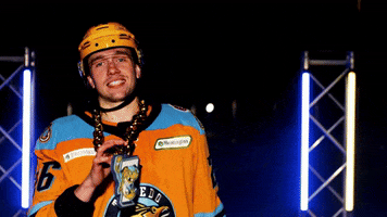 Hockey GIF by Toledo Walleye