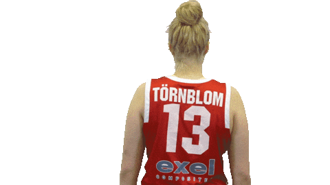 Basketball Hoops Sticker by Basket_fi