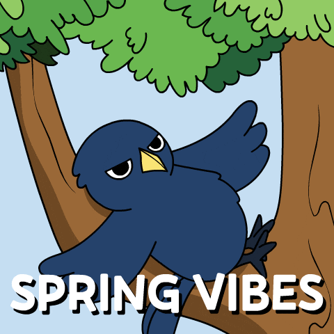 Bitcoin Spring GIF by Ordinary Frends