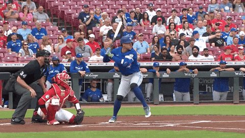 Home Run Baseball GIF by Toronto Blue Jays