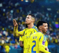 Best Player Airplane GIF