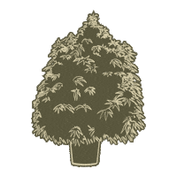 Greybeardcanada liveresin greybeard greybeardcanada 710community Sticker