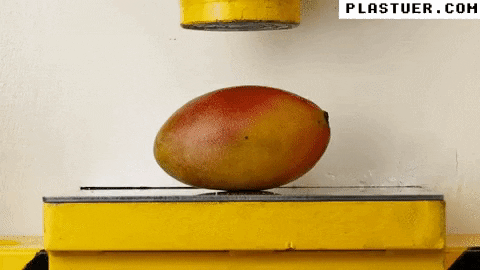 giphyupload GIF