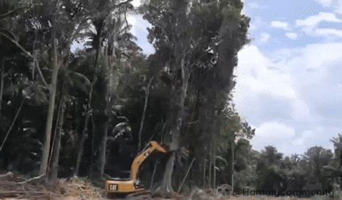 Car Driving GIF by Sad Hamster