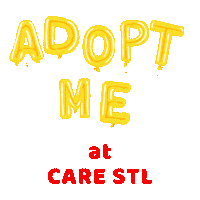 carestl adopt carestl icarestl caredog Sticker