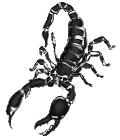 dream scorpio Sticker by MSGM