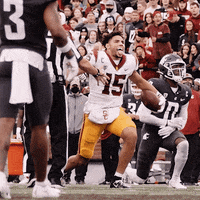 Fight On College Football GIF by BLVD Studios