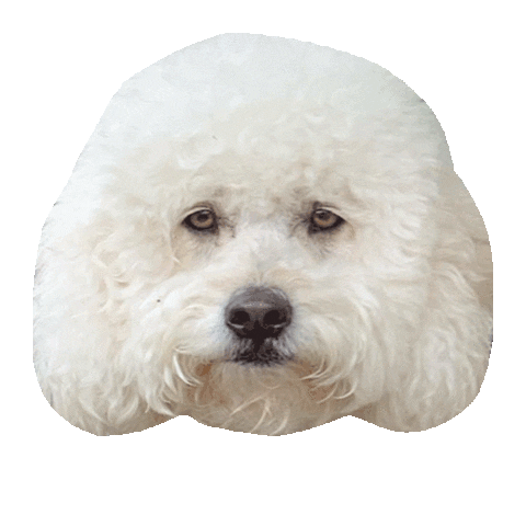 syddesignsocial dog mood monday ugh Sticker