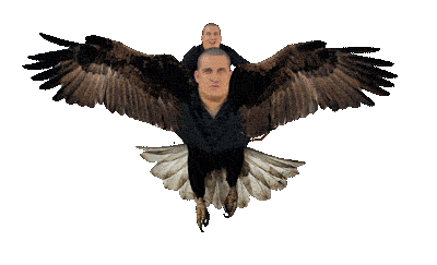 ogaveta giphyupload flying eagle nonsense Sticker