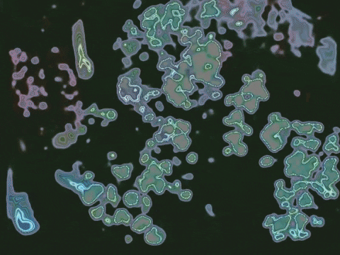 easter houston GIF by MFD