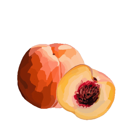 chloelaurenn giphyupload fruit boho peach Sticker