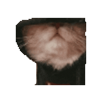 Wylli23 giphygifmaker xd luna cumpleanos Sticker
