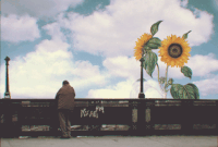 animation vintage GIF