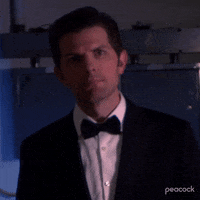Episode 1 Ben GIF by Parks and Recreation
