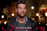 sophie monk GIF by The Bachelorette Australia