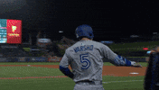 Blue Jays Baseball GIF by Toronto Blue Jays