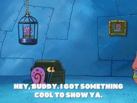season 8 barnacle face GIF by SpongeBob SquarePants