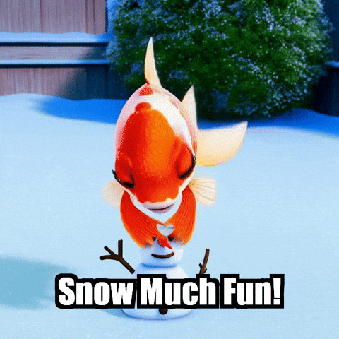 Confishiuscharacter GIF by TheConfishius