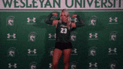 Iwuwvb24 GIF by iwusports