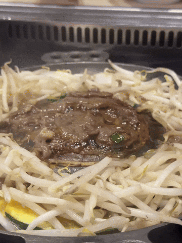 parosilience japan GIF