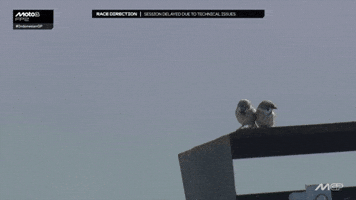 Motorcycle Hanging Out GIF by MotoGP™